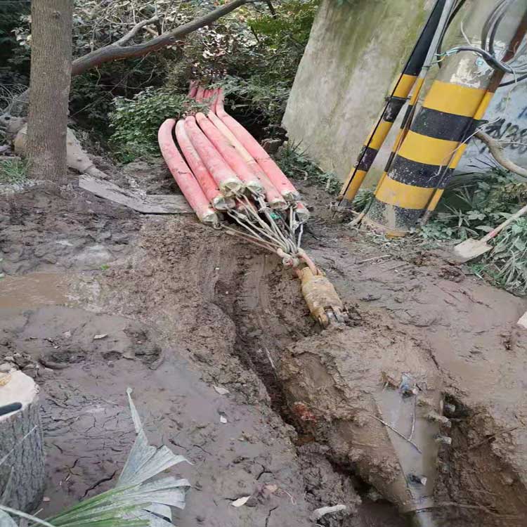 随州武汉焊接涂装线拖拉管